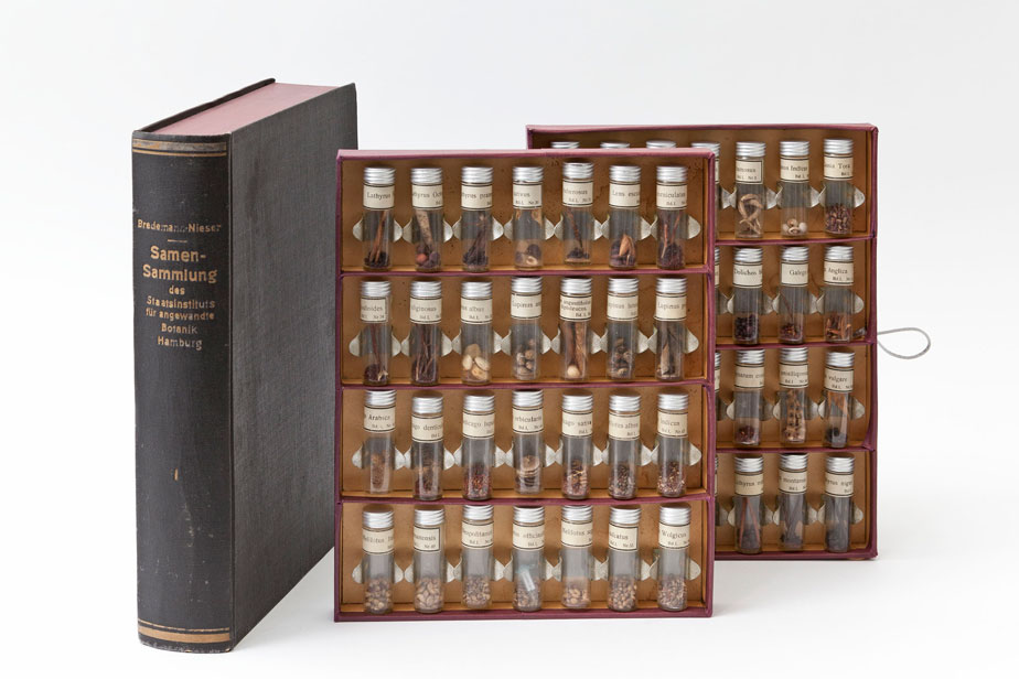 Collection of seeds in a book