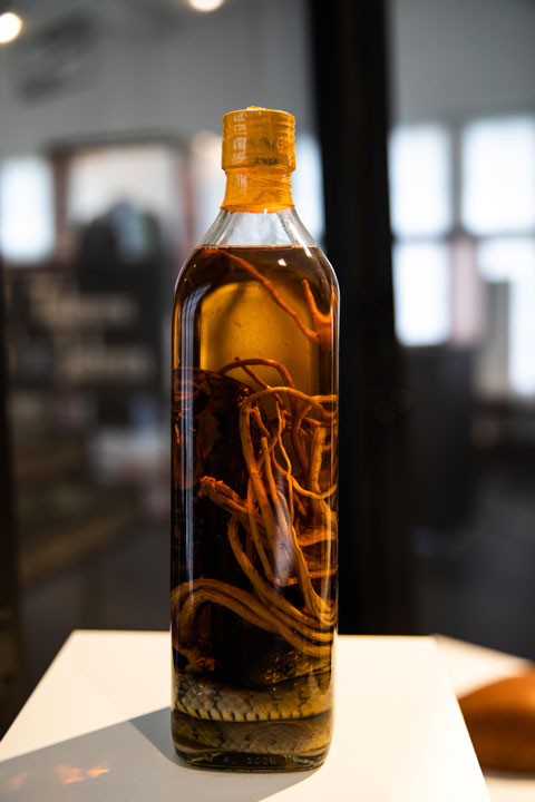 Asiatic water snake (Xenochrophis piscator), Scorpion and ginseng in alcohol
