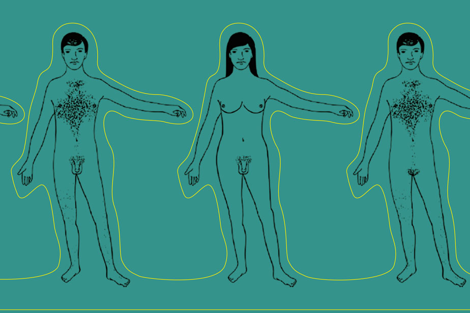 Various combinations of typically female and male characteristics. From: F. Wenzlaff, P. Briken, A. Dekker: If there’s a penis, it’s most likely a man.