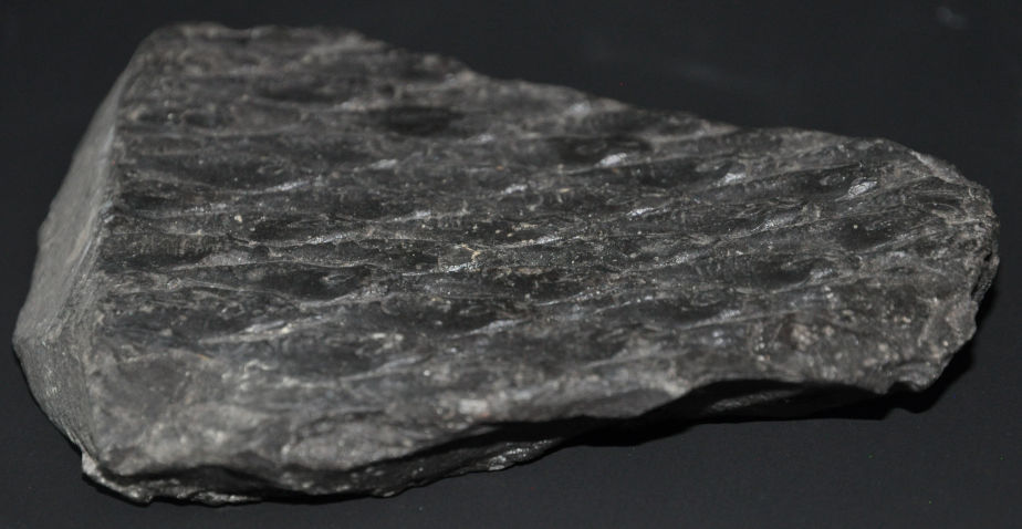 The photo shows a dark gray stone against a black background. The surface of the stone has the structure of tree bark.