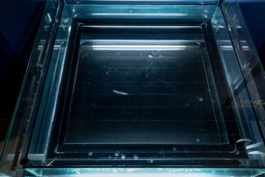 A square space can be seen through a glass plate. Inside the square, a short thick line and several long thin lines can be seen.